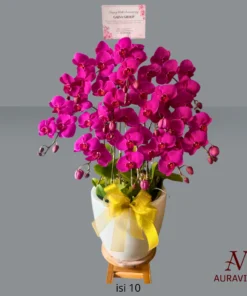 ANG11 Anggrek Bunga Meja - Orchid Arrangment