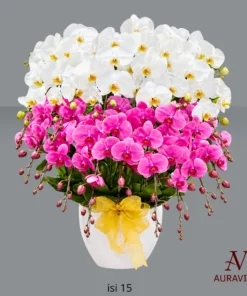 ANG16 Anggrek Bunga Meja - Orchid Arrangment