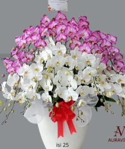 ANG18 Anggrek Bunga Meja - Orchid Arrangment