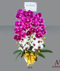 ANG6 Anggrek Bunga Meja - Orchid Arrangment