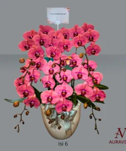 ANG7 Anggrek Bunga Meja - Orchid Arrangment