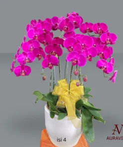 Anggrek Orchid Arrangment 4 Bunga Meja - Orchid Arrangment