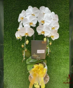 Anggrek Orchid Arrangment 6 Bunga Meja - Orchid Arrangment