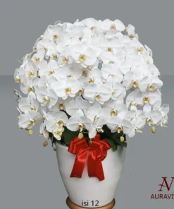 Anggrek Orchid Arrangment 8 Bunga Meja - Orchid Arrangment