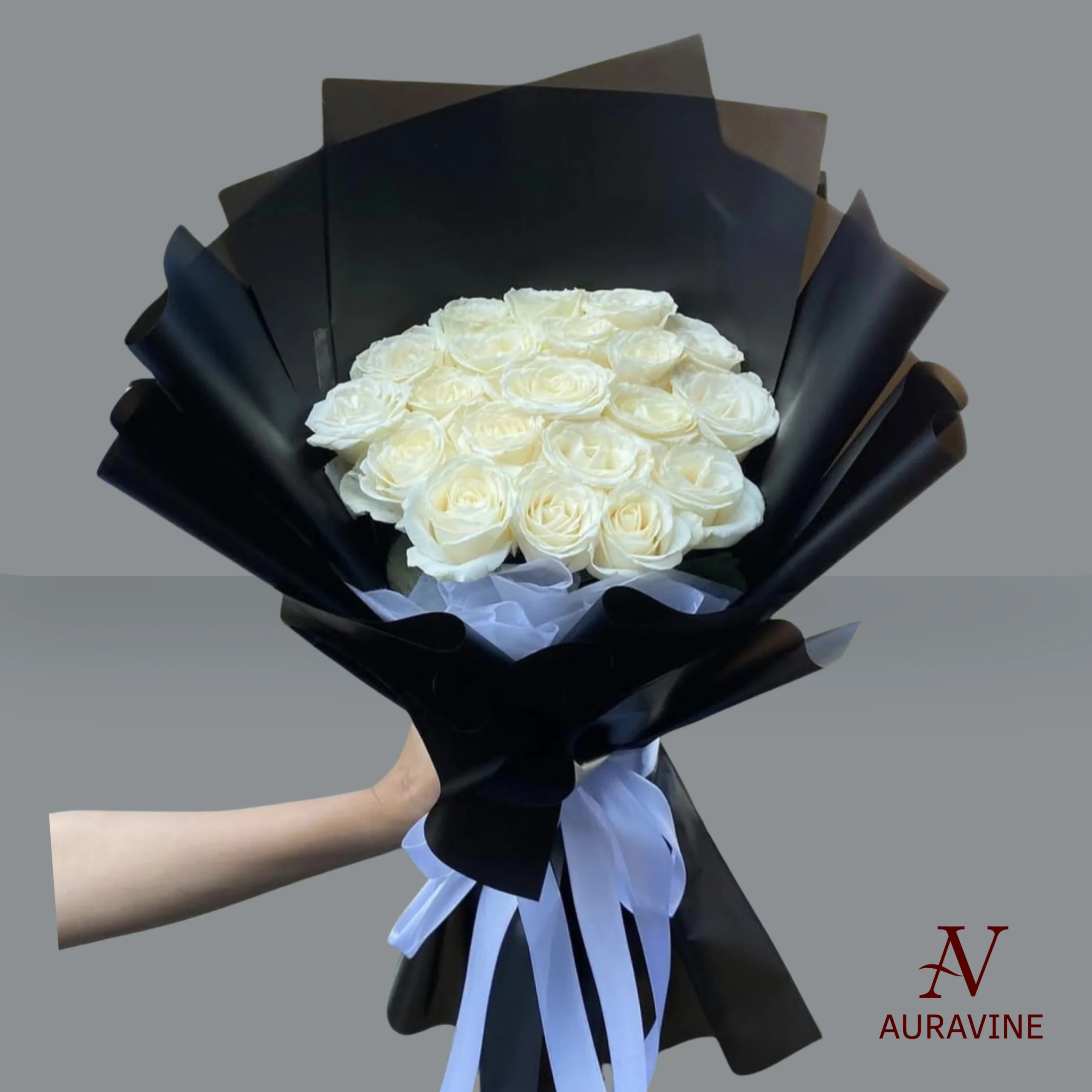 Auravine Ivory Noir 1 Auravine Ivory Noir